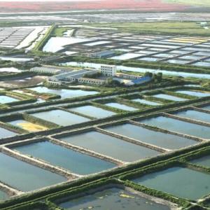 智慧水产养殖的优势有哪些