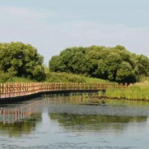 湿地公园景观水质监测：守护水质生态平衡